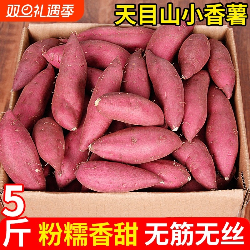 浙江天目山小香薯红薯新鲜粉糯香甜地瓜临安小番薯板栗薯黄心