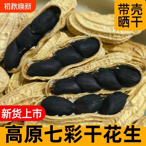 云南新鲜晒干黑花生富硒黑花生新货晒干黑花生带壳农家种植5斤