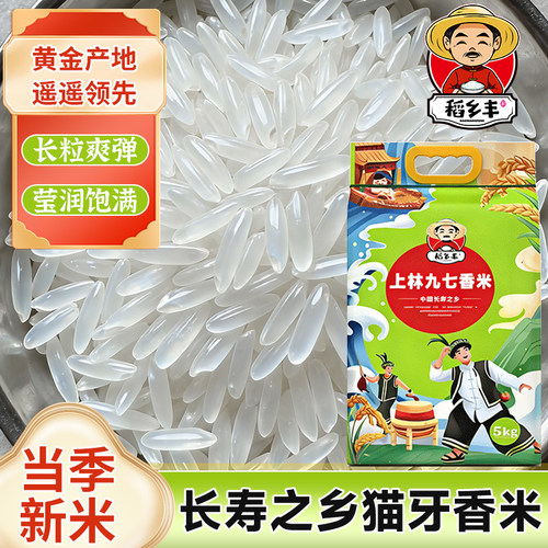 九七香米广西正宗丝苗米农家自种当季新米猫牙米一级大米长粒优质