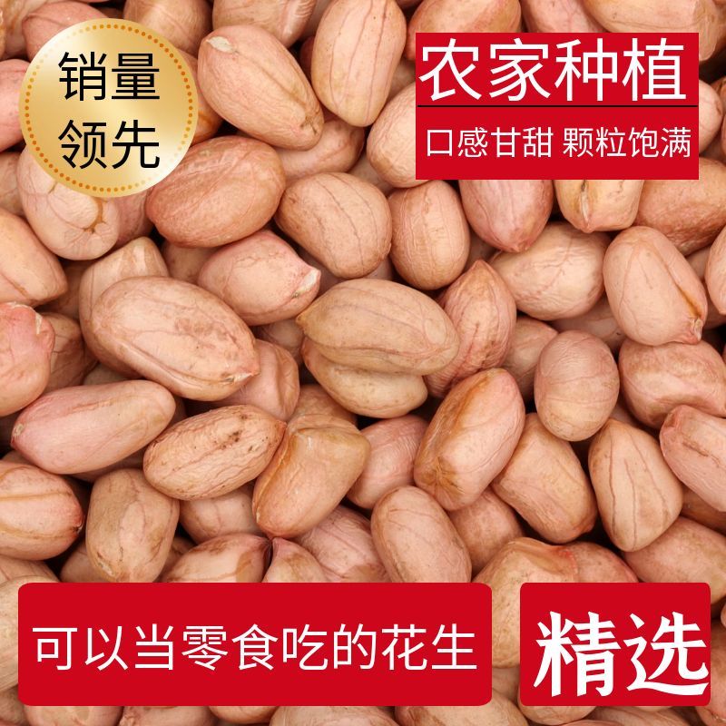 河南南阳白沙花生仁生晒干批 花生米回头客多品质稳定供应