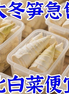正宗江西冬笋新鲜笋尖5斤整箱装多规格时令蔬菜火锅商用批发