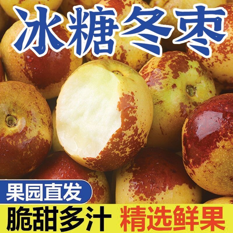 当季头茬农家自产现摘现发山东沾化冰糖冬枣新鲜水果脆甜精品包邮  冬实拍商品图