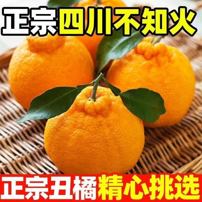 四川不知火丑橘耙耙柑新鲜水果粑粑柑现摘发当季水果鲜果酸甜可口