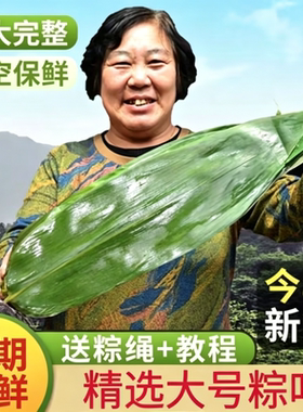 干湿大片粽叶包粽子清香耐煮不破