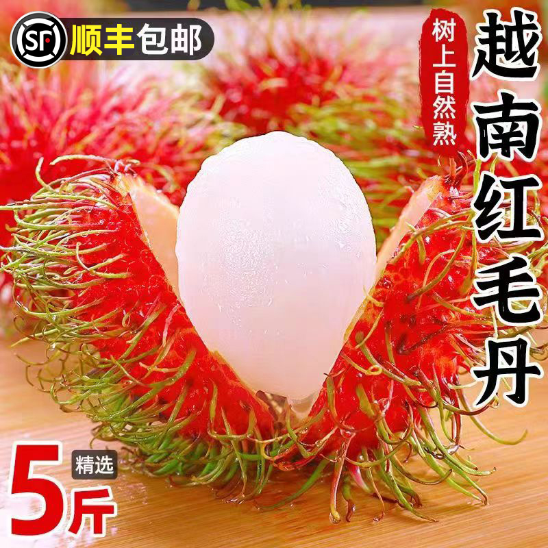 越南进口红毛丹应季水果新鲜当季正宗毛荔枝东南亚水果整箱包邮