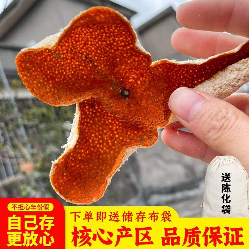 东甲2024年正宗新会新陈皮冬至大红皮茶枝柑老树原枝柑青皮二红皮