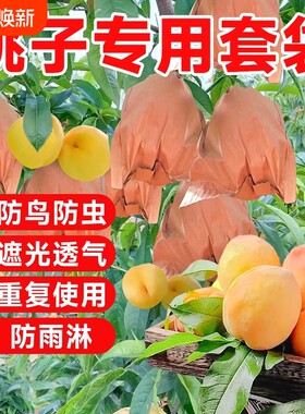 桃子套袋专用袋水果防鸟防虫神器水蜜桃黄桃梨子专用网袋纸袋果子