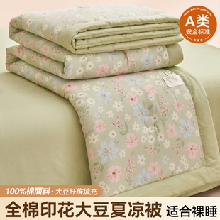 倾情一室A类全棉小清新印花大豆夏被四件套空调被夏凉被可机洗