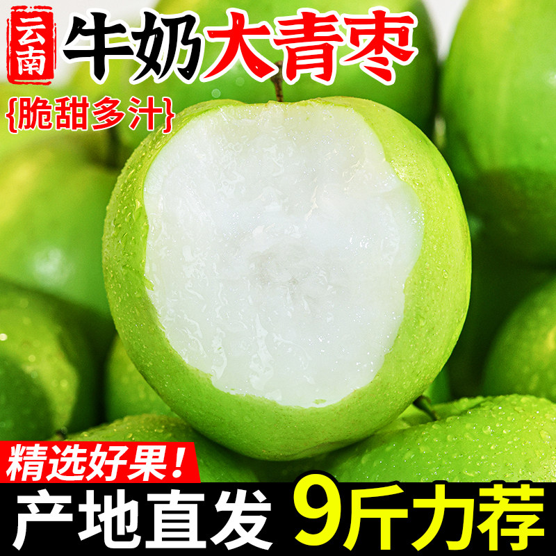 现摘云南牛奶青枣9斤当季新鲜水果苹果枣贵妃冬枣蜜枣整箱,水产肉类/新鲜蔬果/熟食,枣,淘宝优惠券,粉丝福利购,淘宝优惠卷