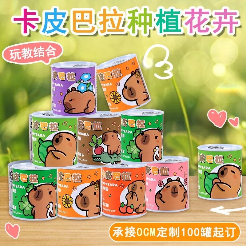 生日礼物学生幼儿园生日送礼易活
