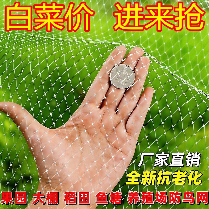防鸟网果树果园大棚尼龙线阳台鱼塘樱桃树葡萄涤纶天网草莓鸟类