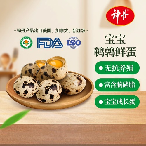 神丹宝宝鲜鹌鹑蛋48枚