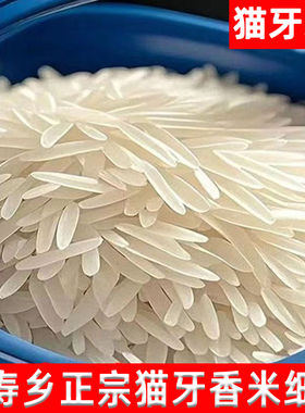正宗猫牙香米广西上林一级大米2025年新米长粒香米丝苗米生态大米