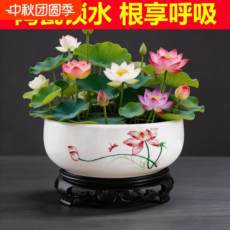 水仙花陶瓷无孔水培花盆特价大号铜钱草睡莲专用水培盆莲花带托盘