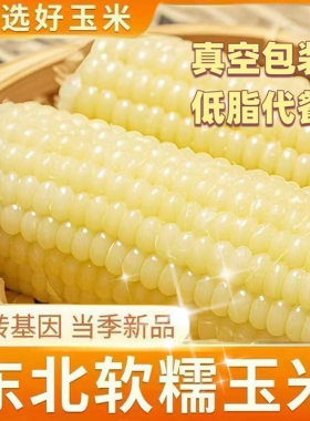 东北白糯玉米甜糯粘玉米真空装非转基因粗粮代餐生鲜香甜软糯整箱