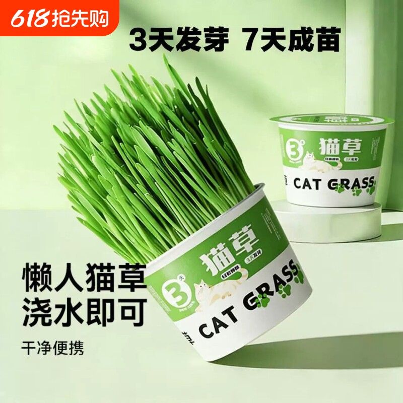 懒人猫草盆栽种子种植泡面猫草水培化毛洁齿磨牙助排毛猫零食植物