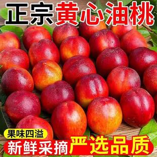油桃2026年应季水果脆甜爆汁软桃孕妇时令当季桃子麻点桃
