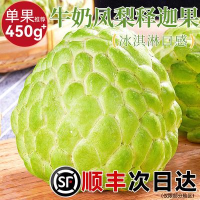 云南凤梨牛奶释迦果新鲜现摘大目牟尼果林檎大果番荔枝佛头果摩尼