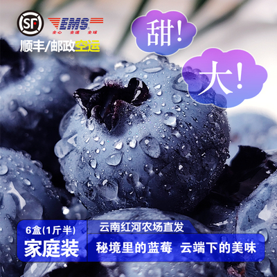 纯甜当季鲜高山花香蓝莓鲜果云南25号顺丰空运一颗佳莓沃高端水果