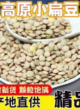 小扁豆种籽小扁豆苗芽苗菜种子土栽蔬菜水培纸上种菜新货散装