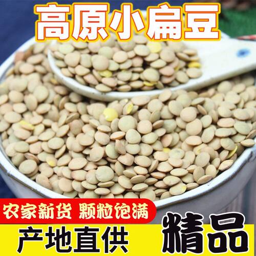 小扁豆种籽小扁豆苗芽苗菜种子土栽蔬菜水培纸上种菜新货散装