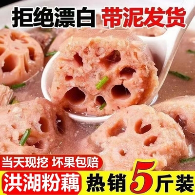 正宗湖北洪湖莲藕新鲜现挖糯米藕煲汤粉糯炖汤九孔粉火锅配菜烧烤