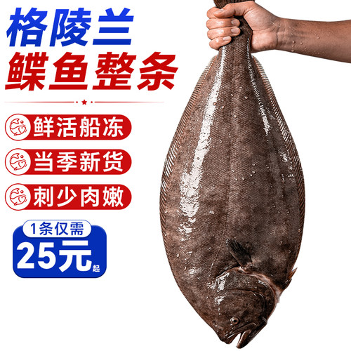 鸦片鱼深海鲽鱼整条蝶鱼身鱼头格陵兰比目鱼新鲜冷冻特大牙雅片鱼
