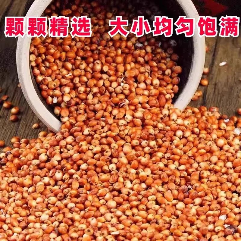 现货红高粱喂鸽子粮食去壳带皮鸟食信鸽农家自产五谷杂粮饲料,粮油调味/速食/干货/烘焙,特色米/面粉/杂粮,淘宝优惠券,粉丝福利购,淘宝优惠卷