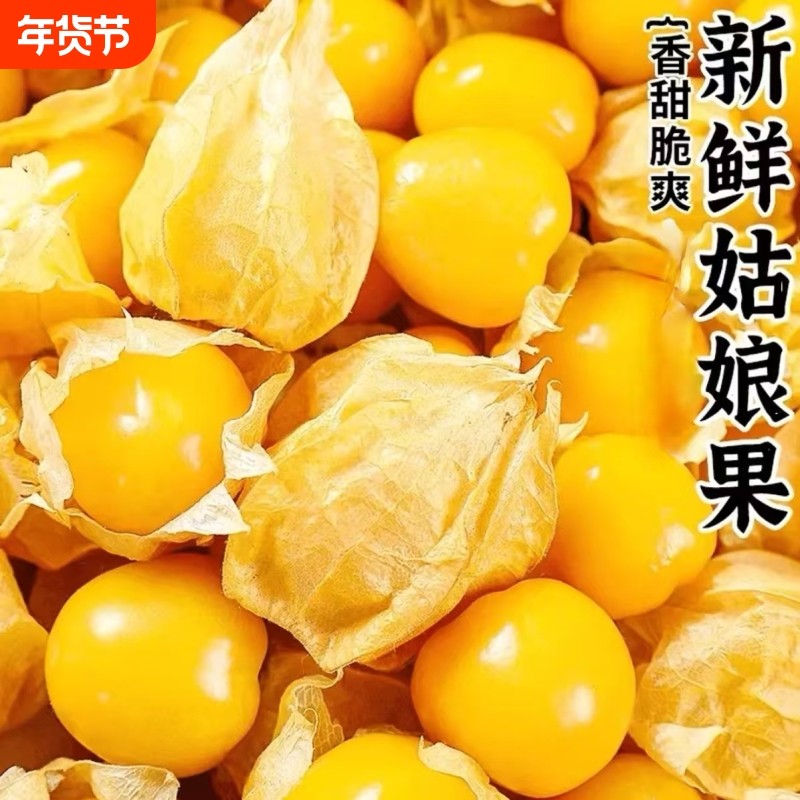 云南黄菇娘果洋姑娘果新鲜现摘特价灯笼果黄皮果整箱包邮批发,水产肉类/新鲜蔬果/熟食,其它,淘宝优惠券,粉丝福利购,淘宝优惠卷
