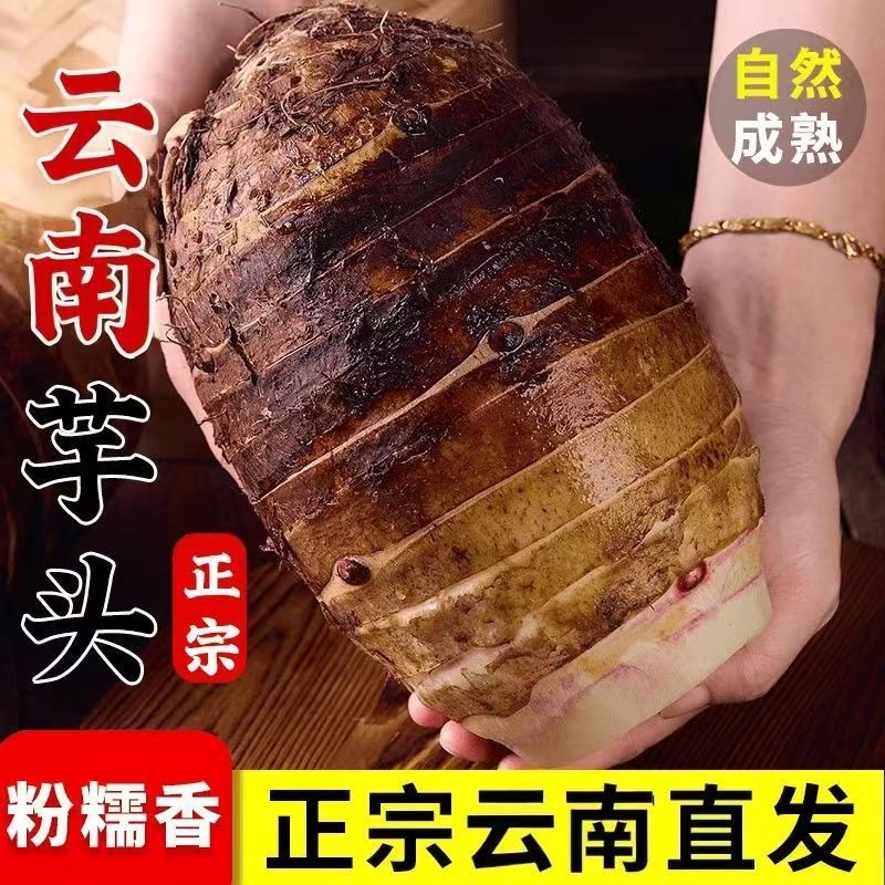 【精选】云南高山新鲜大芋头小芋头正宗槟榔芋现挖毛芋头现挖现发