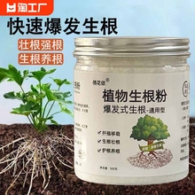 植物通用生根粉树木壮苗生根剂扦插移栽多肉苗木花卉强力生根粉