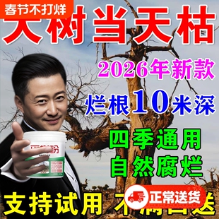 大树烂根强力枯树王除药腐树根一滴树死竹子枯死烂根剂S通用型