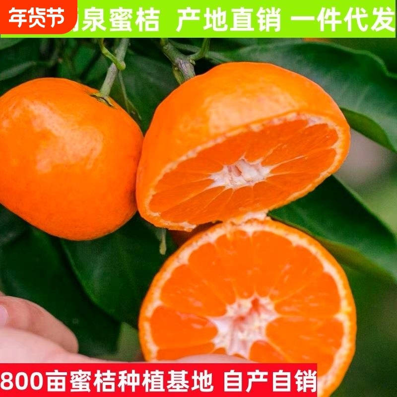 橘子新鲜正宗临海涌泉蜜桔 无核薄皮桔子5斤10斤整箱当季水果包邮,水产肉类/新鲜蔬果/熟食,桔子,淘宝优惠券,粉丝福利购,淘宝优惠卷