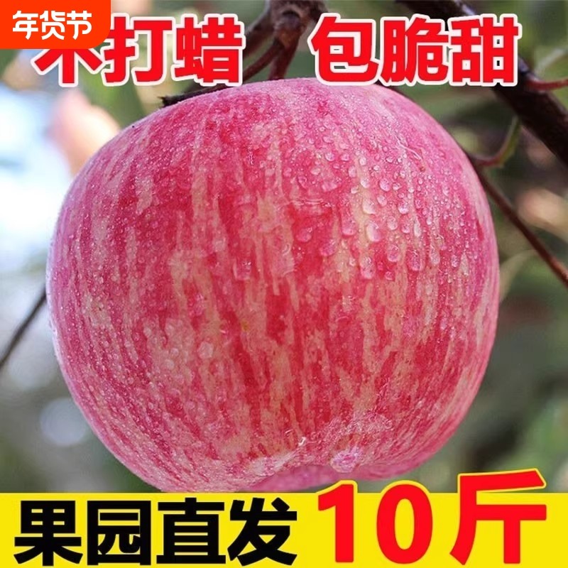 陕西红富士苹果水果新鲜当季整箱脆甜冰糖心10包邮斤不打蜡年货节,水产肉类/新鲜蔬果/熟食,苹果,淘宝优惠券,粉丝福利购,淘宝优惠卷