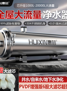 6股PVDF大滤芯农村井水过滤器
