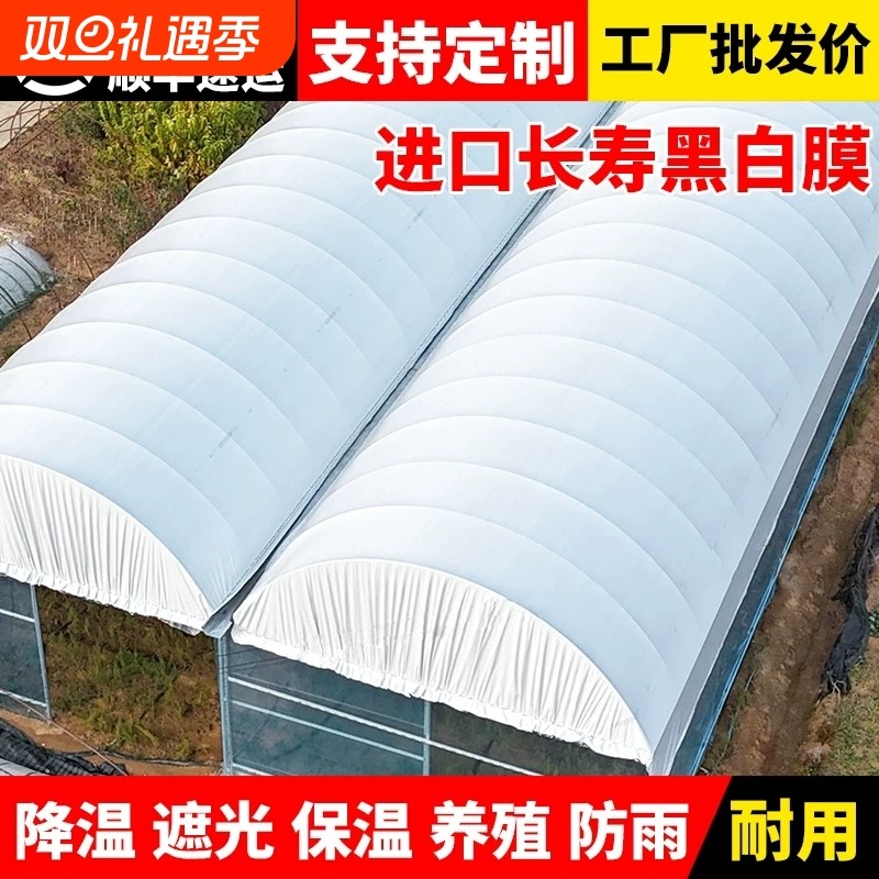 加厚大棚黑白膜隔热降温农用鸡鸭鹅养殖青储食用菌反光鱼塘防渗膜