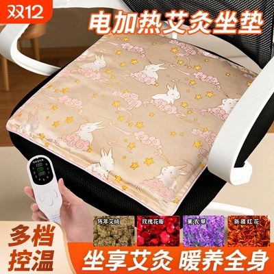 电加热艾绒艾灸坐垫秋冬加热保暖垫子家用办公室艾灸垫发热实用