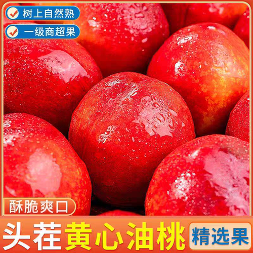 黄心油桃5斤大桃子水果新鲜当季整箱包邮应季孕妇蜜脆桃现摘脆甜