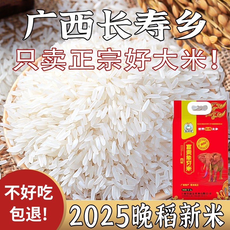 象牙米正宗长粒香米当季新米农家米丝苗米猫牙米10斤大米籼米现磨