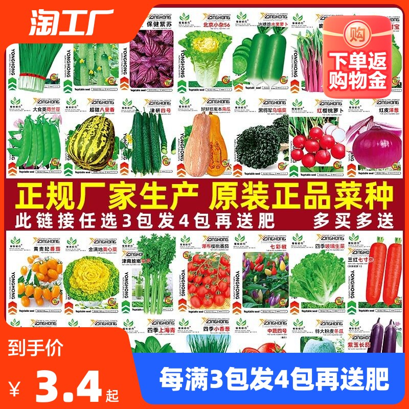蔬菜种子四季播盆栽阳台庭院香菜生菜菠菜小葱简单秋易种籽孑大全属于什么档次？