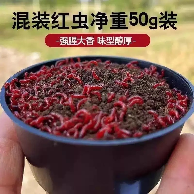 【新店福利中】红虫活饵鲜活红虫特大号红虫包活拉饵红虫鲫鱼饵料