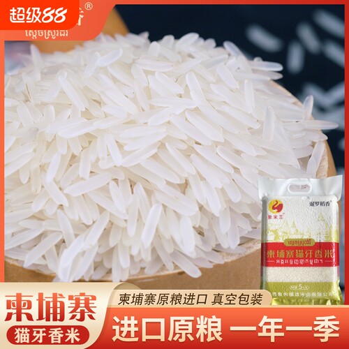进口柬埔寨当季新米一年只产一季