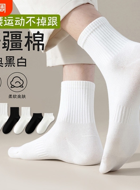 春秋款白色运动纯棉中筒袜吸汗透气防臭短袜新疆棉长袜男长筒起球