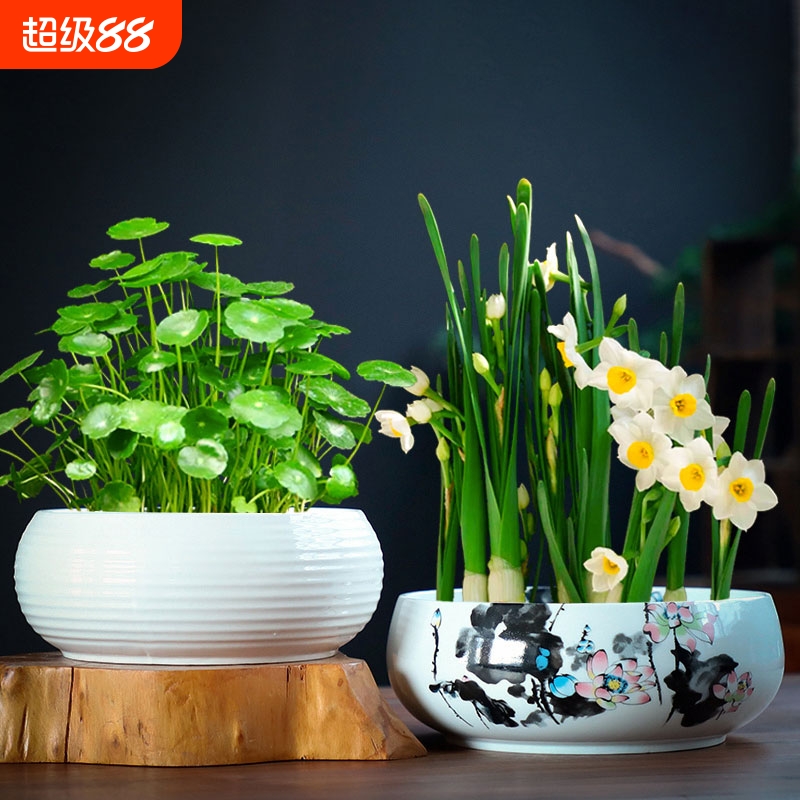 水仙花盆水培无孔大口径