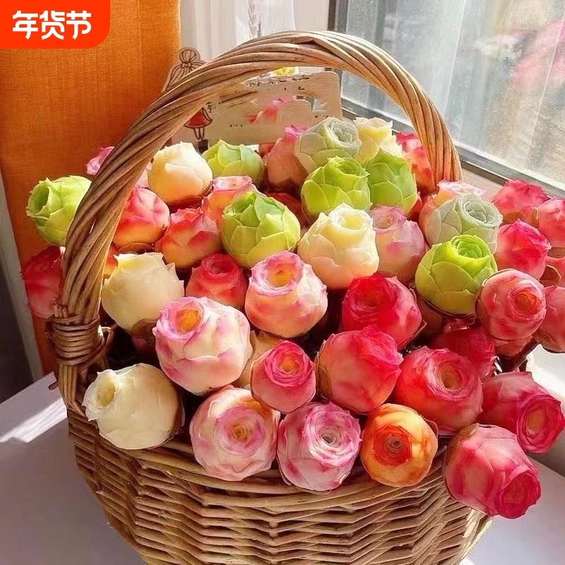 山地玫瑰多肉植物盆栽精品水蜜桃酒杯粉耶罗鸡蛋阳台室内桌面绿植