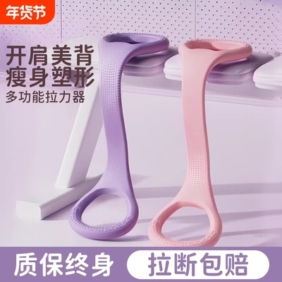 2026新款拉力器家用练背美背神器