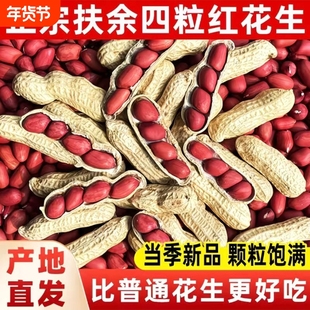 2025年东北农家新鲜带壳生红花生米养胃红皮花生自种晒干炒货原味