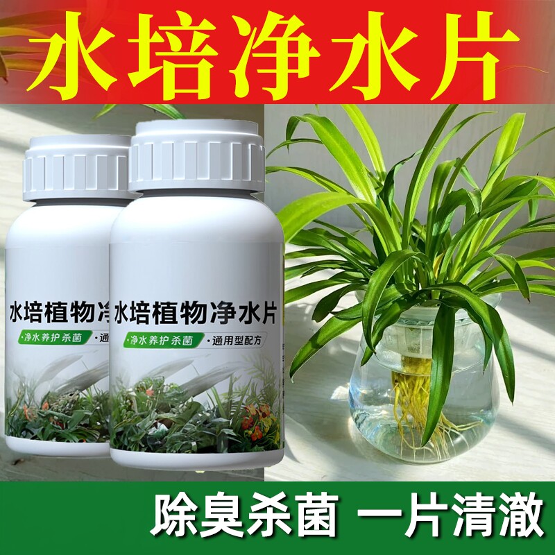 水培植物净水片鲜花花卉保鲜剂不臭水碗莲专用通用消毒片净化水质