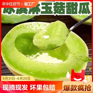 玉茹 包邮 正宗冰淇淋蜜瓜香瓜整箱 山东玉菇甜瓜9斤新鲜水果当季