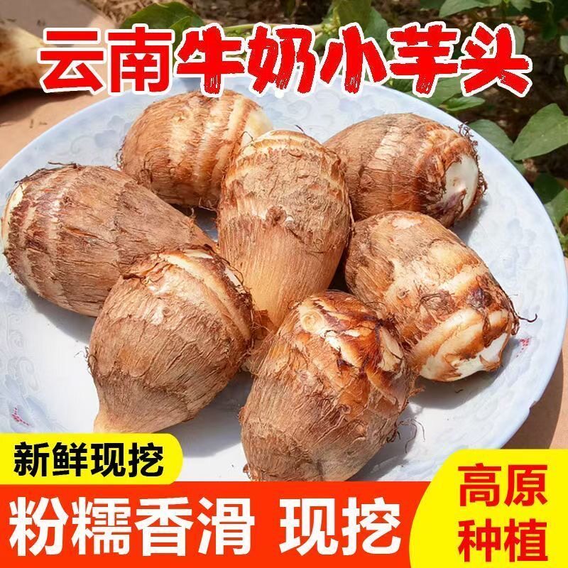 云南牛奶小芋头新鲜蔬菜粉糯荔浦芋头槟榔芋当季芋艿香芋农家山药